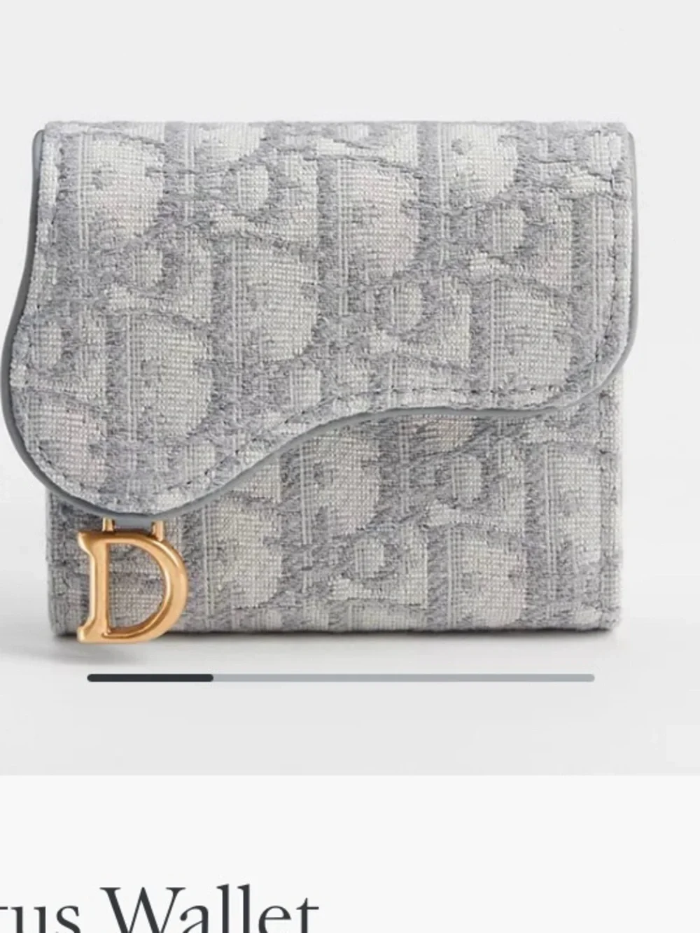 Dior Saddle Lotus Wallet-lightly loved